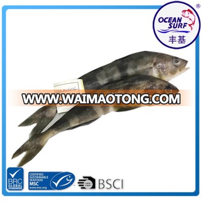 New Arrival Atka Mackerel Round