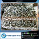 Best Quality Picked and Packed Anchovy Frozen Fish at Low Purchase Price